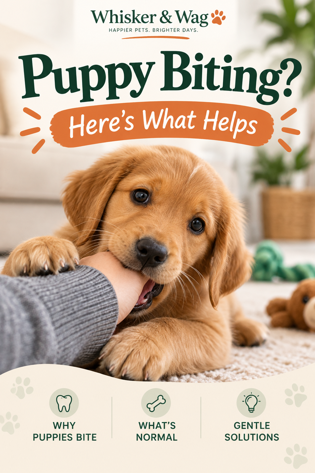 Whisker & Wag Puppy Biting: Here's What Helps, showing a golden retriever puppy mouthing a person's hand