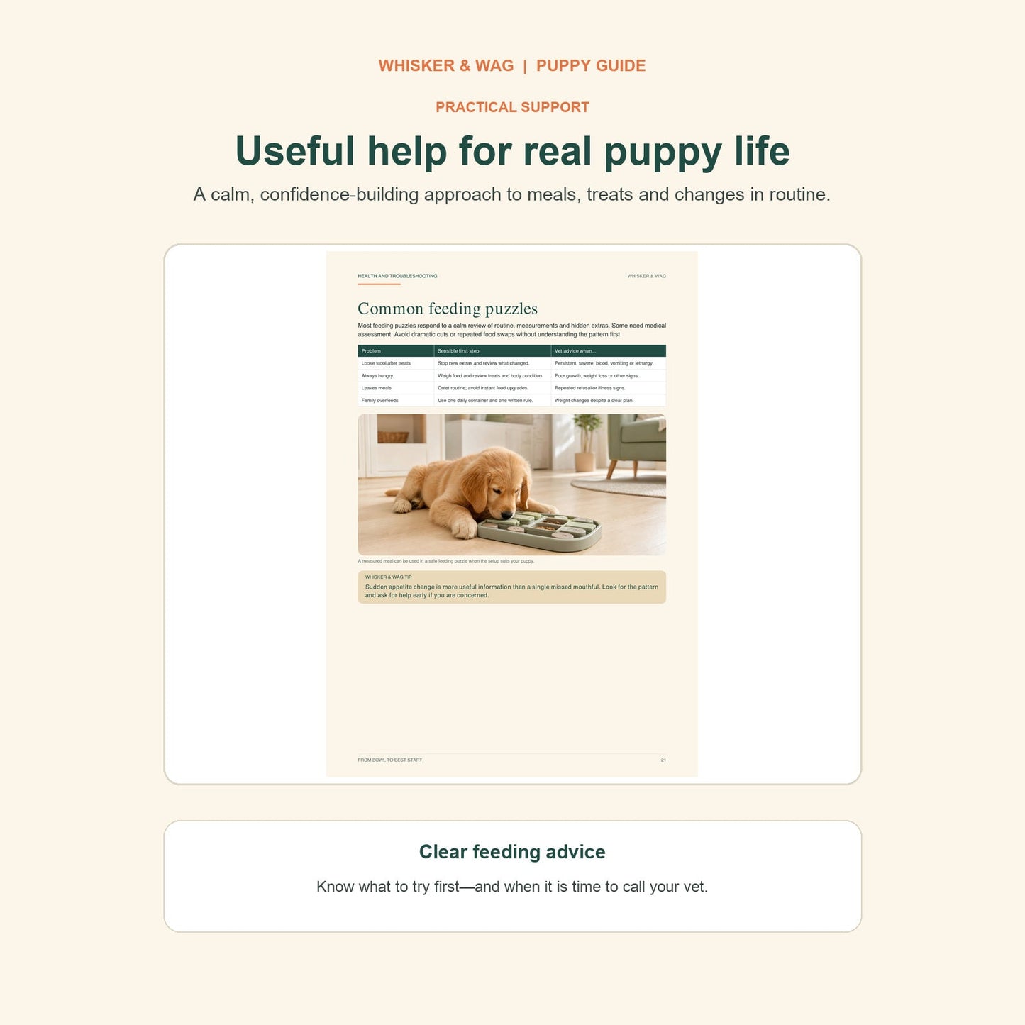 From Bowl to Best Start: common feeding puzzles page