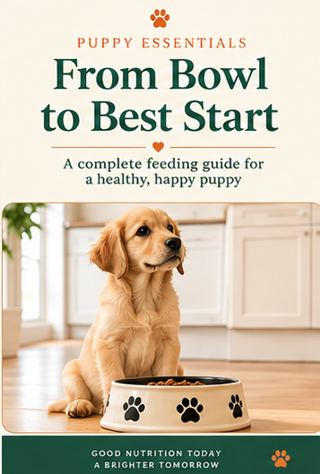 From Bowl to Best Start - Whisker & Wag puppy feeding guide