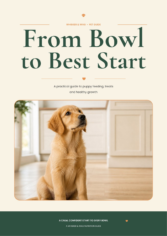 From Bowl to Best Start - Whisker & Wag puppy feeding guide cover