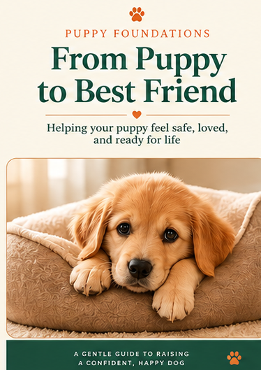 From Puppy to Best Friend - Whisker & Wag puppy guide